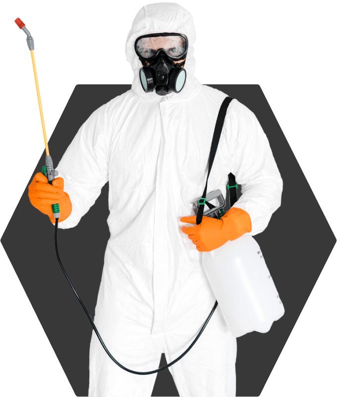 Pest Control Person