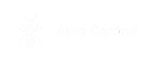 icon-ant