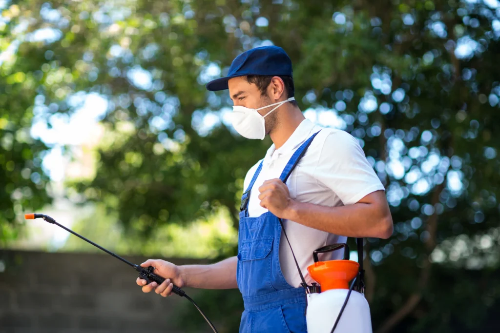 Best Pest Control Company in Qatar