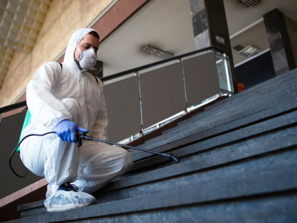 pre construction anti-termite treatment