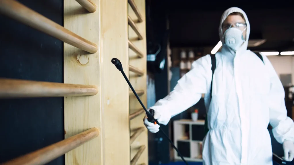 Effective Bed Bug Control Methods for a Pest-Free Home